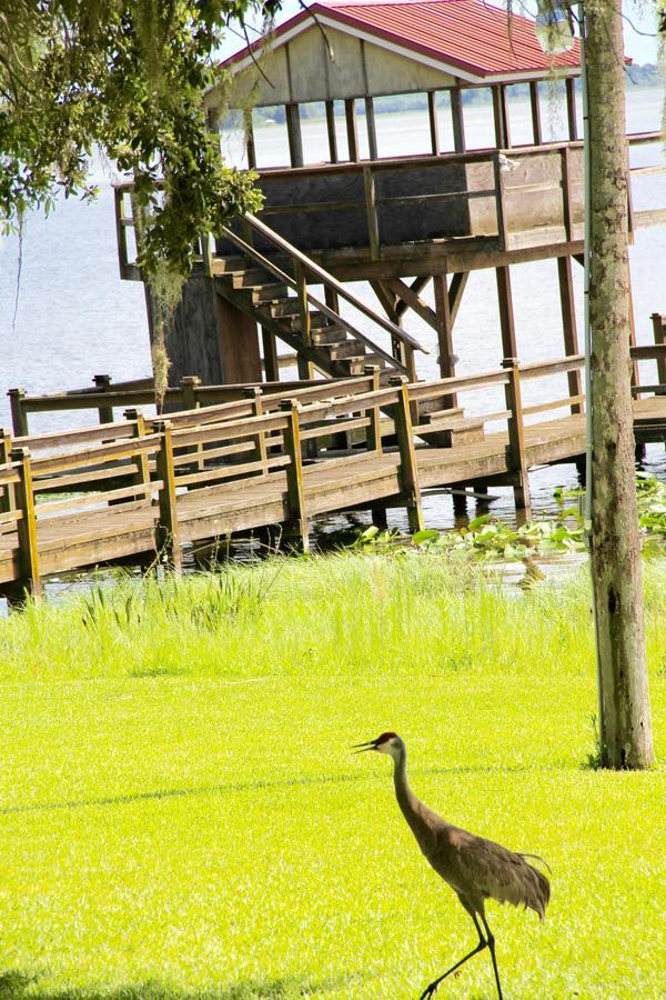 Bellacosa Lakeside Lodge Lake Wales Exterior foto