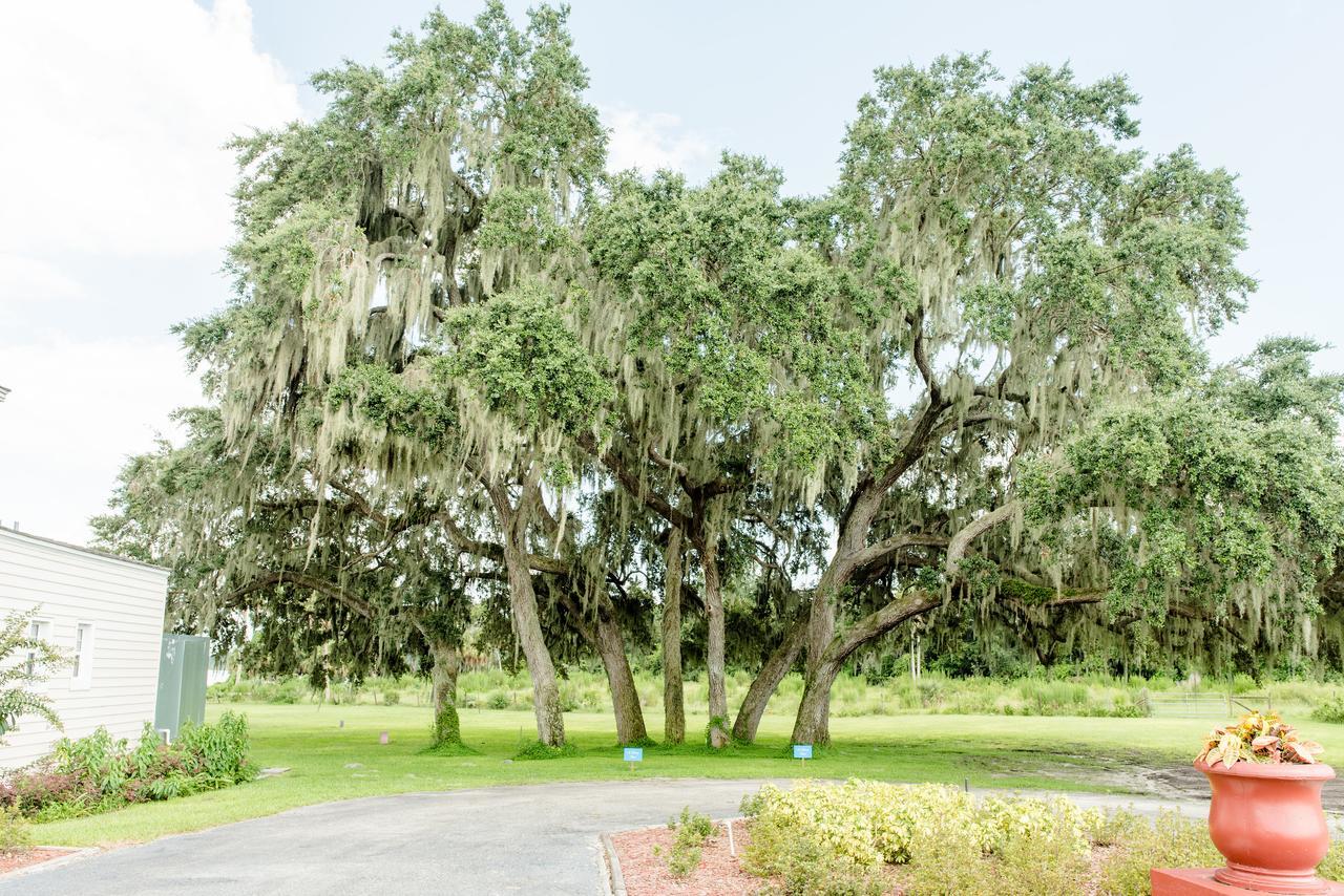 Bellacosa Lakeside Lodge Lake Wales Zimmer foto